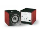 Focal S...