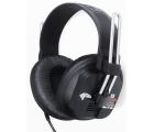 Fostex|...