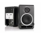 Focal c...