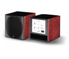 Focal S...